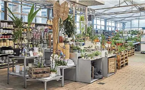 Cactus hobbi, un violon d'Ingres pas comme les autres - PressReader