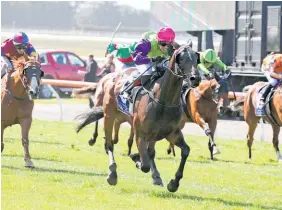  ?? Race Images ?? Gobstopper and Sam Spratt on their way to victory in the NZ Cup.