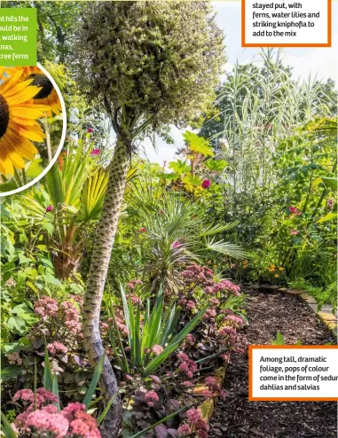  ??  ?? As the sunlight hits the leaves, you could be in exotic climes, walking through bananas, bamboo and tree ferns This rectangula­r, Victorian pond has stayed put, with ferns, water lilies and striking kniphofia to add to the mix Among tall, dramatic...