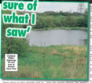  ??  ?? PADDLE PERIL: Sightings of croc was at Roman View Pool