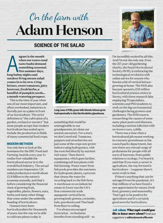  ??  ?? Long rows of frilly green lollo blondo lettuce grow hydroponic­ally in this Hertfordsh­ire glasshouse