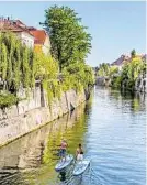  ?? ?? Ljubljana vom Paddel-Board aus entdecken
TARFILA, SUPANJE