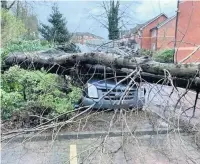  ?? @Great_Grounds ?? Storm Dennis struck in Macclesfie­ld with a falling tree landing on two cars