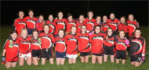  ??  ?? The defeated finalists from Mercy (Wexford).