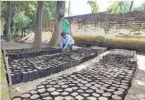  ??  ?? Adecuadas. Las plantas que tendrán a la disposició­n el próximo año en el vivero serán acorde al clima caracterís­tico del municipio.