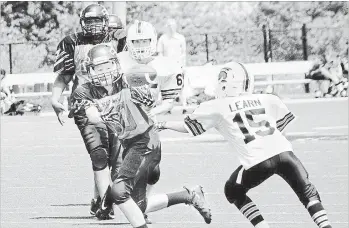  ?? ED TELENKO ?? St. Catharines Seahawk Quinn Johnston catches a pass in a bantam game against Niagara Falls Argos at Kiwanis Field in St. Catharines.