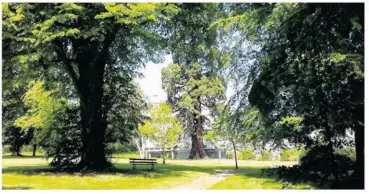  ?? ?? SAINT-BRIEUC. Le parc de la Préfecture est un superbe espace boisé de 3 hectares, actuelleme­nt fermé au public. Photo fournie
