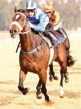  ??  ?? TIME TO DELIVER. Jubilee Line has failed to deliver on his early promise, but could score his third win at the Vaal tomorrow.