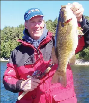  ?? COURTESY OF BRAD WIEGMANN ?? A beautiful bronze color gives the smallmouth bass its common nickname of bronzeback. This nice Arkansas smallie was caught by Brad Wiegmann of Springdale.