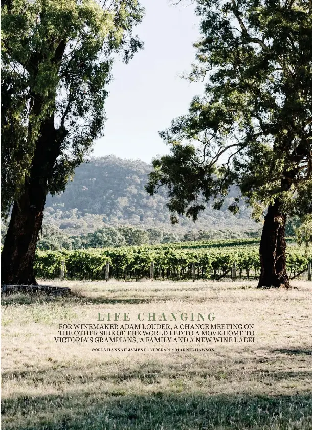 Raise A Glass A Boutique Wine Label In The Grampians Pressreader