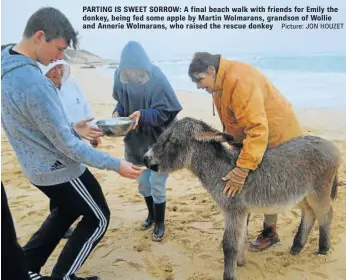  ?? Picture: JON HOUZET ?? PARTING IS SWEET SORROW: A final beach walk with friends for Emily the donkey, being fed some apple by Martin Wolmarans, grandson of Wollie and Annerie Wolmarans, who raised the rescue donkey