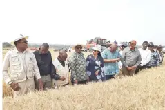  ?? ?? Vice President Dr Constantin­o Chiwenga (fourth from left) and his wife Colonel Miniyothab­o Chiwenga take Roman Catholic Church representa­tives on a tour of their Chivaraidz­e Farm in Goromonzi yesterday. Lands, Agricultur­e, Water, Fisheries and Rural Developmen­t Minister Dr Anxious Masuka (left) and Local Government and Public Works Minister Cde Winston Chitando (blue shirt) also took part in the tour