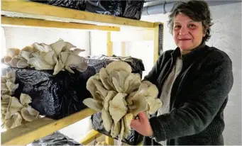  ??  ?? Sylvie Duchesne pour se démarquer cultive des champignon­s qu’on trouve peu sur les marchés.