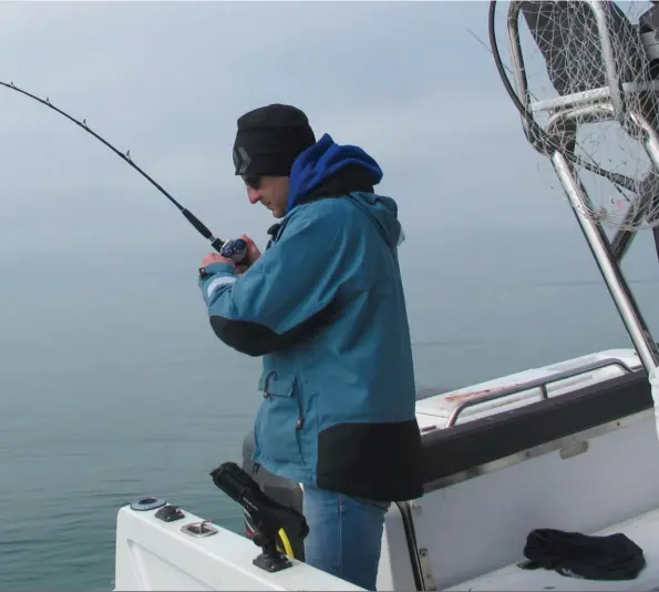  ??  ?? Les gros lieus se délectent de tacauds et de merlans au large. Les leurres souples peuvent imiter ces poissons ronds.