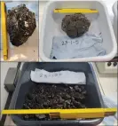  ?? ?? Rock samples collected for analysis. Photograph: National Institute of Oceanograp­hy and Experiment­al Geophysics