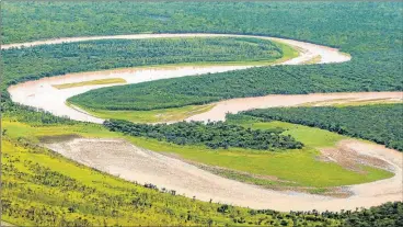  ?? FOTOS: GZA. ADMINISTRA­CION DE PARQUES NACIONALES ?? UNICO. Ubicado entre los ríos Teuco-Bermejo y Bermejito, es el bosque seco más grande del mundo.