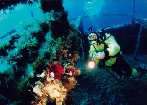  ??  ?? Haluk Cecan ilk su altı belgeselin­i 1988 yılında TRT için çekti. Haluk Cecan shot his first underwater documentar­y for TRT in 1988.