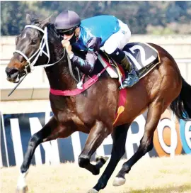  ?? Picture: JC Photograph­ics ?? SPEEDY. Winter Smoke has the pace to get the better of some tough opposition in Race 3 at the Vaal tomorrow.