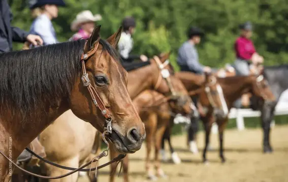  ??  ?? there’s a level of competitio­n for everyone. schooling shows are a great place to start.