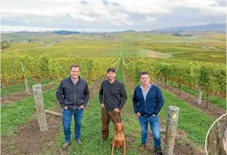  ??  ?? LEFT: One of the biggest recent vineyard deals was the purchase of 365ha by Raparua Springs Wines. Pictured are general manager Gus Altschwage­r, left, viticultur­ist Simon Bowers, and co-owner Ian Wiffen.