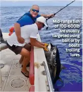  ??  ?? Mid-range fish of 100-600lb are usually targeted using bait or by boats trolling lures