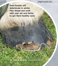  ??  ?? Poor hooves will deteriorat­e in winter. Plan ahead and work with your vet and farrier to get them healthy early