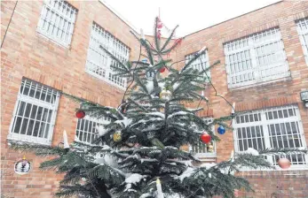  ?? FOTO: DPA ?? Viel sieht man nicht, wenn man in der Jugendstra­fanstalt in Berlin aus dem Fenster schaut – meist nur Vögel und zur Zeit immerhin einen Weihnachts­baum.