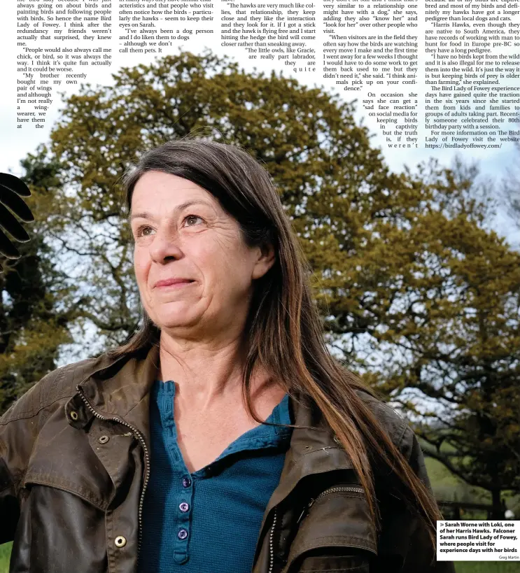  ?? Greg Martin ?? > Sarah Worne with Loki, one of her Harris Hawks. Falconer Sarah runs Bird Lady of Fowey, where people visit for experience days with her birds