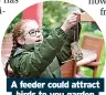  ?? Picture: Eleanor Bentall, RSPB ?? A feeder could attract birds to you garden
