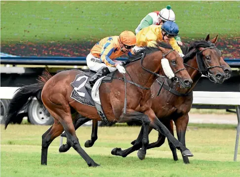  ?? RACE IMAGES ?? Hall Of Fame and Opie Bosson fight off the challenge of Savile Row and Mark Du Plessis to win the Levin Classic.