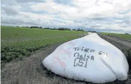  ??  ?? Rotación. A la izquierda, un silobolsa con trigo descansa al costado de la soja de segunda. El cereal anduvo muy bien esta campaña. Clima. A la derecha, la estación meteorológ­ica que aporta datos on-line.