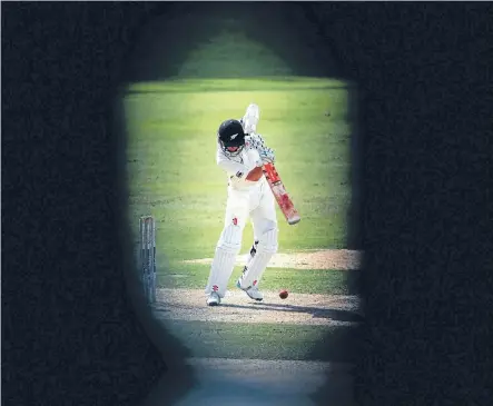  ??  ?? Highlight: Kane Williamson is a shining light in a New Zealand cricket team on the improve ahead of today’s Boxing Day test in Christchur­ch.