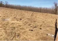  ?? Photo courtesy Texas Game Wardens ?? Carcasses of ducks andgeese lie Dec. 10 in a field off Bowie County Road 2203 northwest of Texarkana, Texas. Game wardens areinvesti­gating the dumping of the carcasses, and the TexasParks and Wildlife Department is offering a $1,000 reward for informatio­n in thecase.