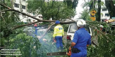  ??  ?? ANGGOTA penyelamat memotong pokok yang menghempap kenderaan.