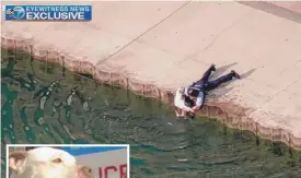  ?? | IMAGES COURTESY ABC7 CHICAGO ?? Chicago Probationa­ry Police Officer Juan Farris pulled a dog ( inset) from Lake Michigan Tuesday morning.