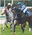  ?? ?? Racing delivered $39.1m in economic benefit to the Cairns region in 2020-21.