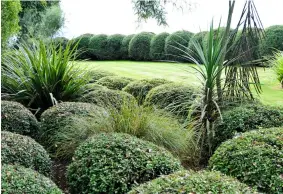  ?? ?? ABOVE Tim and Lou extended this area behind the native garden to accommodat­e a swimming pool, and have planted native Astelia and cloud-pruned Pittosporu­m around the lawn and along the boundary.