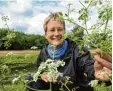  ?? Foto: dpa ?? Eine Frau zeigt ein Exemplar des Schier lings Wasserfenc­hels.