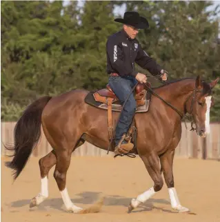  ??  ?? TOP: To correctly level out your horse, first engage his face and hind end, which results in him raising his back. As he gets comfortabl­e, his neck will lower but his shoulders and back will stay raised, creating smoother strides.