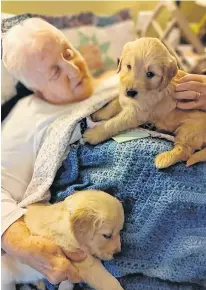  ??  ?? Roberta Potter at Tideview Terrace in Digby had a joy-filled day on Feb. 12 when armloads of six-week-old puppies arrived for a visit.