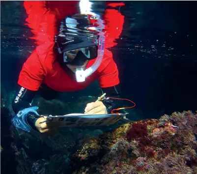  ?? ?? Mare Una immersione subacquea a scopo di ricerca nella Stazione Zoologica Anton Dohrn, una delle tappe del percorso dello Study Tour in programma a Napoli