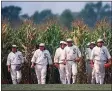  ?? CHARLIE NEIBERGALL - THE ASSOCIATED PRESS ?? FILE - Persons portraying ghost player characters, similar to those in the film “Field of Dreams,” emerge from the cornfield at the “Field of Dreams” movie site in Dyersville, Iowa, in this undated file photo.