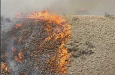  ?? JEFFREY D. ALLRED — THE ASSOCIATED PRESS ?? A brush fire burns in Herriman, Utah, in September. The Trump administra­tion hopes to slow Western wildfires by bulldozing, mowing or revegetati­ng large swaths of land along 11,000miles in parts of California, Idaho, Oregon, Washington, Nevada and Utah.