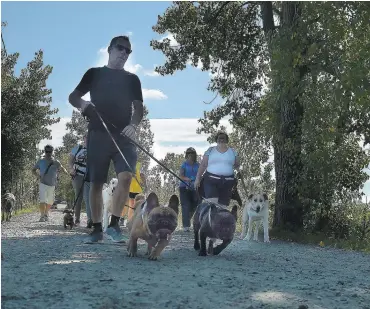  ?? PHOTO DIDIER DEBUSSCHER­E ?? La Société protectric­e des animaux de Québec tenait, hier, sa quatrième marche canine afin d’amasser des fonds. L’organisme connaît d’importante­s difficulté­s financière­s depuis qu’il a abandonné la gestion animalière sur le territoire de la Ville il y a trois ans.