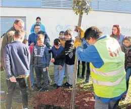  ?? MEDITERRÁN­EO ?? Los escolares participan activament­e en los actos por el Dia de l’Arbre.