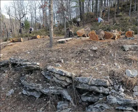  ?? NWA DEMOCRAT-GAZETTE/FLIP PUTTHOFF ?? Opening the glade on the Shaddox Hollow Trail will allow native grass and wildflower­s to return.