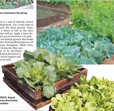  ??  ?? IMPROVE. Raised beds produce better vegetables.