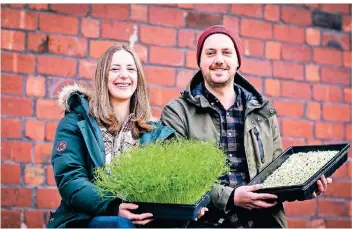  ?? RP-FOTO: ANNE ORTHEN ?? Caroline Busch und Aljoscha Dickmann bauen junges Gemüse, sogenannte Microgreen­s, an. Vergangene­s Jahr haben sie das Start-up Stadtgreen­s gegründet.