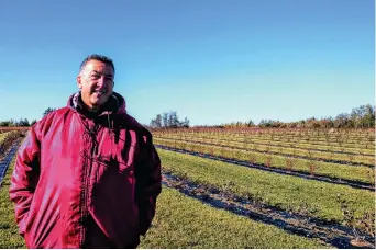  ??  ?? Paul Laplante est désormais un producteur de camerise de l’île Lamèque. - Acadie Nouvelle: David Caron