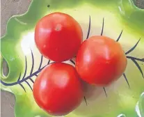  ??  ?? Pick tomatoes just as they start to ripen, then place out of direct sunlight at temperatur­es around 70 degrees so they will develop a deep red color and full flavor.
